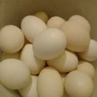 تخم مرغ بومی تازه محلی