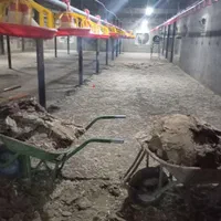 خرید وفروش کودحیوانی مرغ گاو گوسفند وحمل کودحیوانی|خدمات باغبانی و درختکاری|نیشابور, فردوسی جنوبی|دیوار