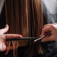 همکار آرایشگر در تمامی لاینها پرمشتری با درصد بالا