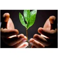 ترک اعتیاد بدون درد وخماری