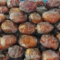 خرما|خوردنی و آشامیدنی|شیراز, اصلاح‌نژاد|دیوار