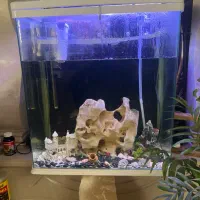 اکواریوم خارجی حرفه ایی