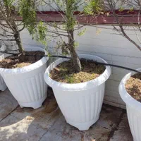 سیستم آبیاری قطره ای نصب راه اندازی و تعمیرات|خدمات باغبانی و درختکاری|رشت, بلوار گیلان|دیوار