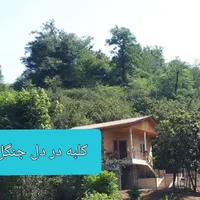 اجاره روزانه ویلا جنگلی|اجارهٔ کوتاه‌مدت ویلا و باغ|شیرگاه, |دیوار