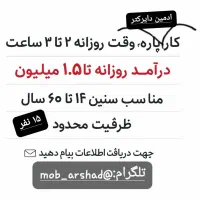 ادمین.دایرکتر.کار در منزل