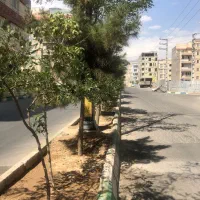 زمین-150-متری-در-بنیامین