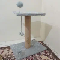 اسکرچرگربه