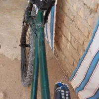 دوچرخه ۲۶|دوچرخه، اسکیت، اسکوتر|طسوج, |دیوار