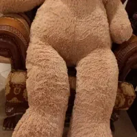 عروسک خرس وارداتی گریزلی