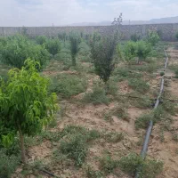 ۵۰۰ متر زمین باغی