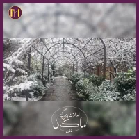 هروی-115متر-3خواب-ورودی-از-حیاط-مشجر
