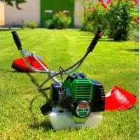 علف چینی و چمن زنی با دستگاه چمن زن