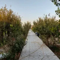 باغ ویلا800 متری/شهریار/دهشاد/میدان نماز/تهران سر|فروش خانه و ویلا|شهریار, دهشاد بالا|دیوار