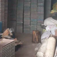 سینی بذر نشا|عمدهفروشی|رودسر, |دیوار