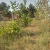 فروش باغچه ۱۳۰۰ متری درمنطقه ای آینده دار نجم آباد|فروش زمین و ملک کلنگی|نظرآباد, نجم آباد|دیوار