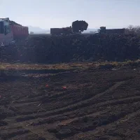 خرید چغندر|خدمات باغبانی و درختکاری|بیستون, |دیوار