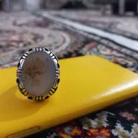 انگشترنقره عقیق و شجر|جواهرات|سنندج, |دیوار