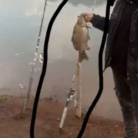 لنسرماهی گیری