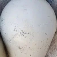 کپسول گاز|قطعات یدکی و لوازم جانبی|سیب و سوران, |دیوار