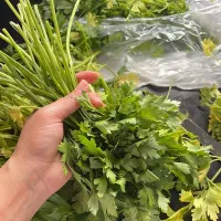 سبزی پاک شده و سرخ شده،پیاز داغ خانگی