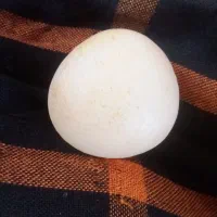 سلام دوستان کسی می دونه این چه سنگی هست