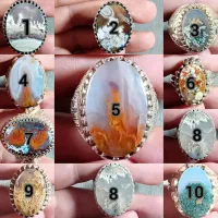 پک ۱۰عددی انگشتر های عقیق شجر|جواهرات|بم, |دیوار