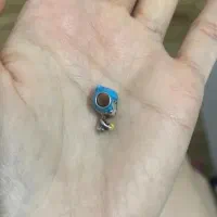 پلاک نقره یا چارم شادی برند پاندورا|جواهرات|یزد, |دیوار