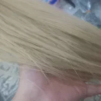 فروش کله مانکن|آرایشی، بهداشتی، درمانی|رشت, گلسار|دیوار