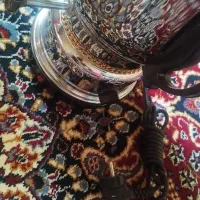 سماور برقی ۵لیتری|سماور، چای‌ساز، قهوه‌ساز|زابل, |دیوار