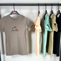 تیشرت کبریتی|لباس|اصفهان, امامزاده اسماعیل|دیوار