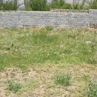 زمین ۲۴۰ متری