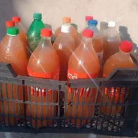 آبغوره طبیعی وخوش طعم