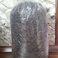 چایی محلی بهاره ی لاهیجان