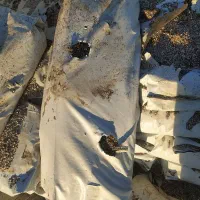 بستر مخلوط کوکوپیت و پرلیت|حراج|اهر, |دیوار