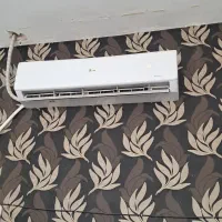 اسپیلیلت گرین