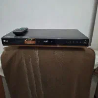 دی وی دی