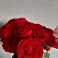 یک دسته گل رز طبیعی  ۵ شاخه رز با چند غنچه ۲۰۰