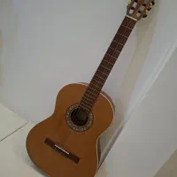 گیتار پارسی m5