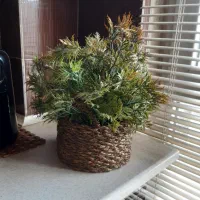 دو عدد گل و گیاه مصنوعی