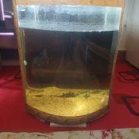 اکواریوم شیشه محدب|ماهی|شاهینشهر, شهرک گلدیس|دیوار