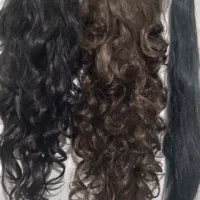 کلاه گیس ۱عدد