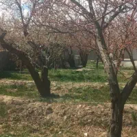 باغچه-چهاردیواری-سندتکبرگ-انشعابات-کامل-شهریار