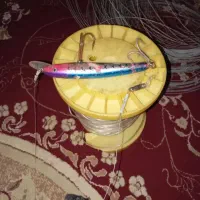 آموزش ماهیگیری