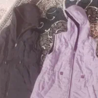 دوعدد پافر نو نو