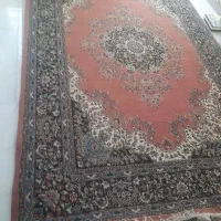 فرش ۶ متری تمیز