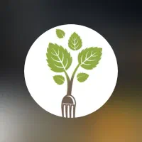 سبزی . ترشی .  نون روغنی