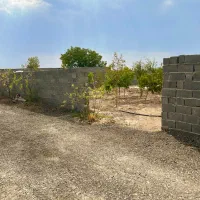باغ و باغچه زمین ۲۰۰ و ۴۰۰ متر برق و آب و گاز وصل|فروش زمین و ملک کلنگی|شهریار, شهریار|دیوار