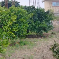 باغ چسبیده به بافت مسکونی