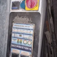 دستگاه جوجه کشی شترمرغ مولدنر