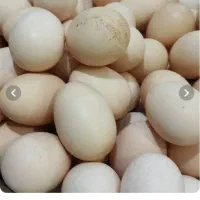 تخم مرغ محلی|خوردنی و آشامیدنی|سنندج, |دیوار